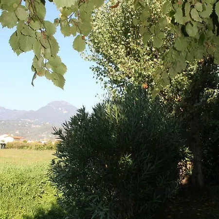 Casa Cacina-affittacamere Lido di Camaiore