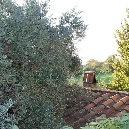 Casa Cacina-affittacamere *